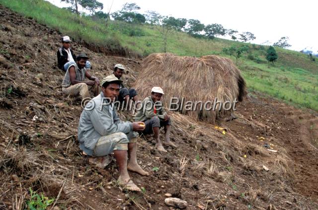 yungas bolivie  12.JPG - Cultivateurs pendant la pauseTocana CoroicoYungas de Bolivie